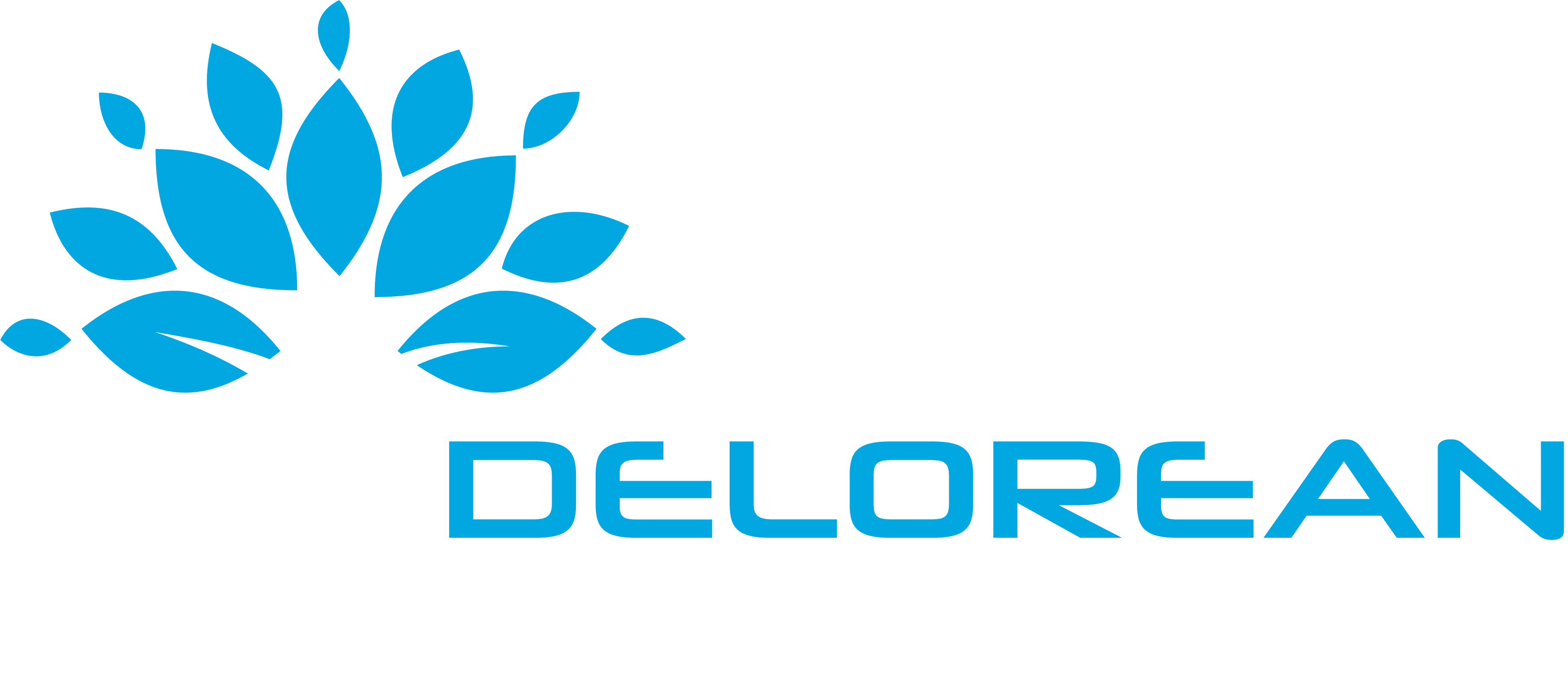 Delorean Corporation